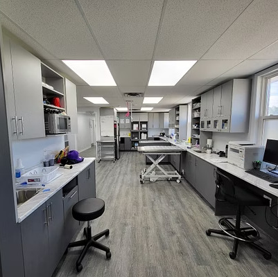 Twin Lakes Vet treatment area